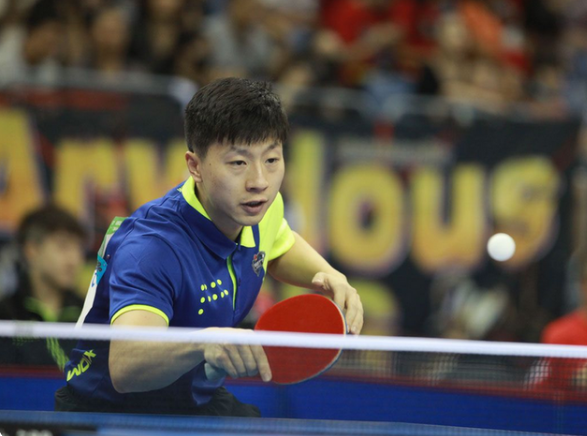 教练组的优 教练组的优